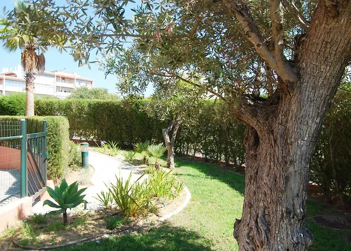 Апартаменты Beautiful Litoralmar